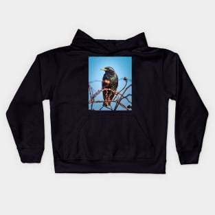 Common starling Kids Hoodie